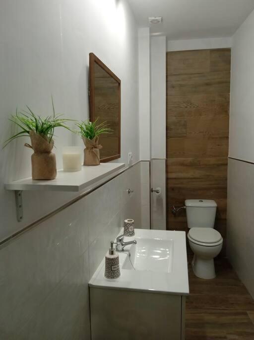 Vivienda Rural Sentirte 2 Centro De Aracena Appartement Buitenkant foto